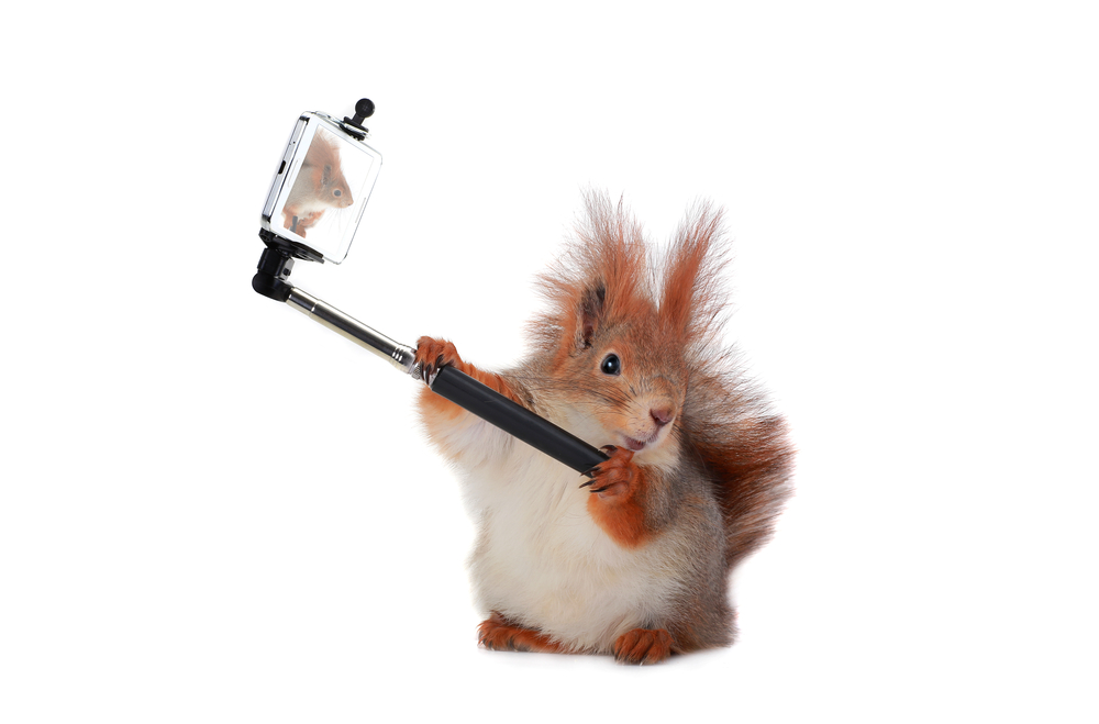 3 Best Tips To Keep Your Business's Social Media Feed Awesome