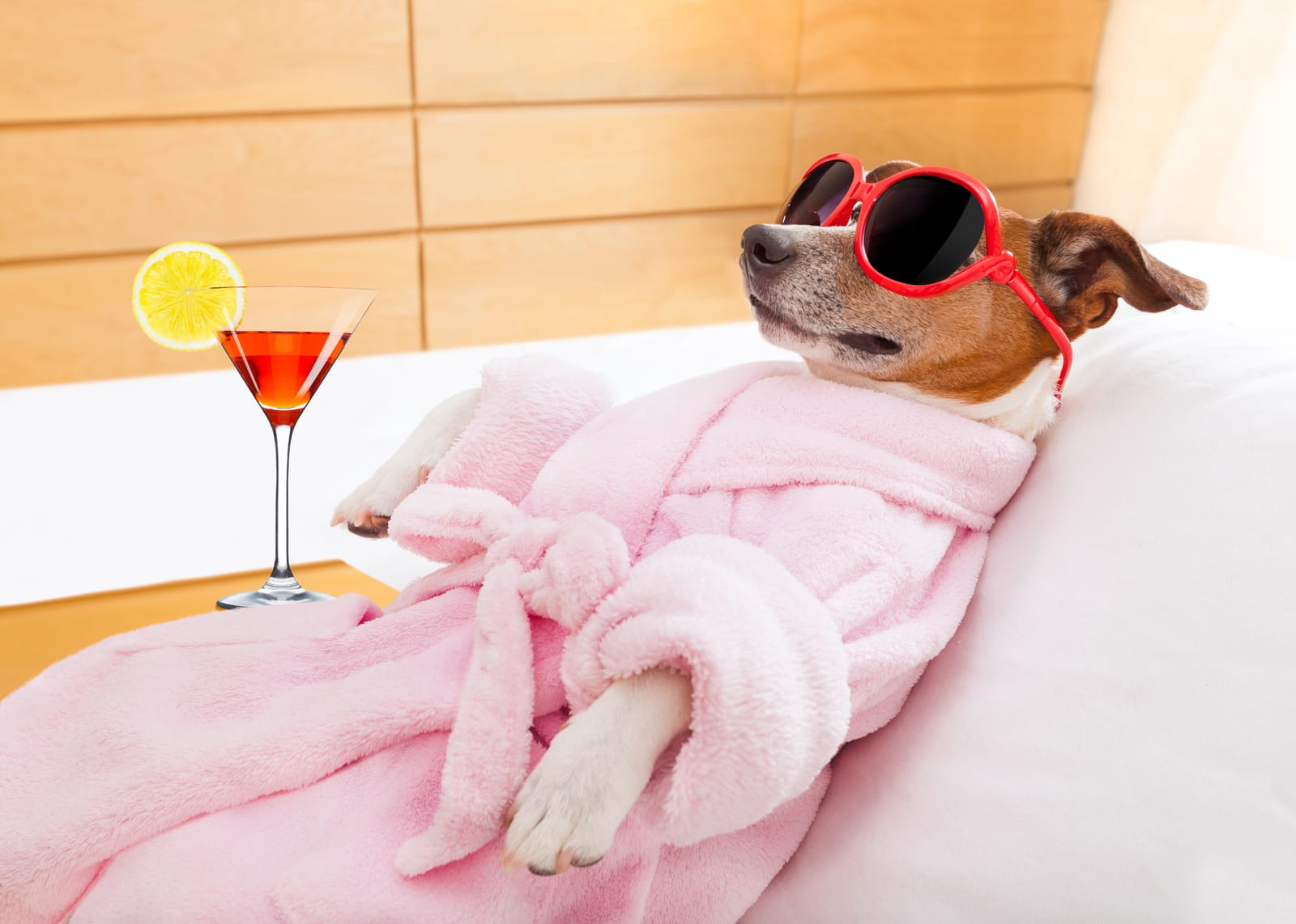 How to Take a Vacation From Your Fitness Business
