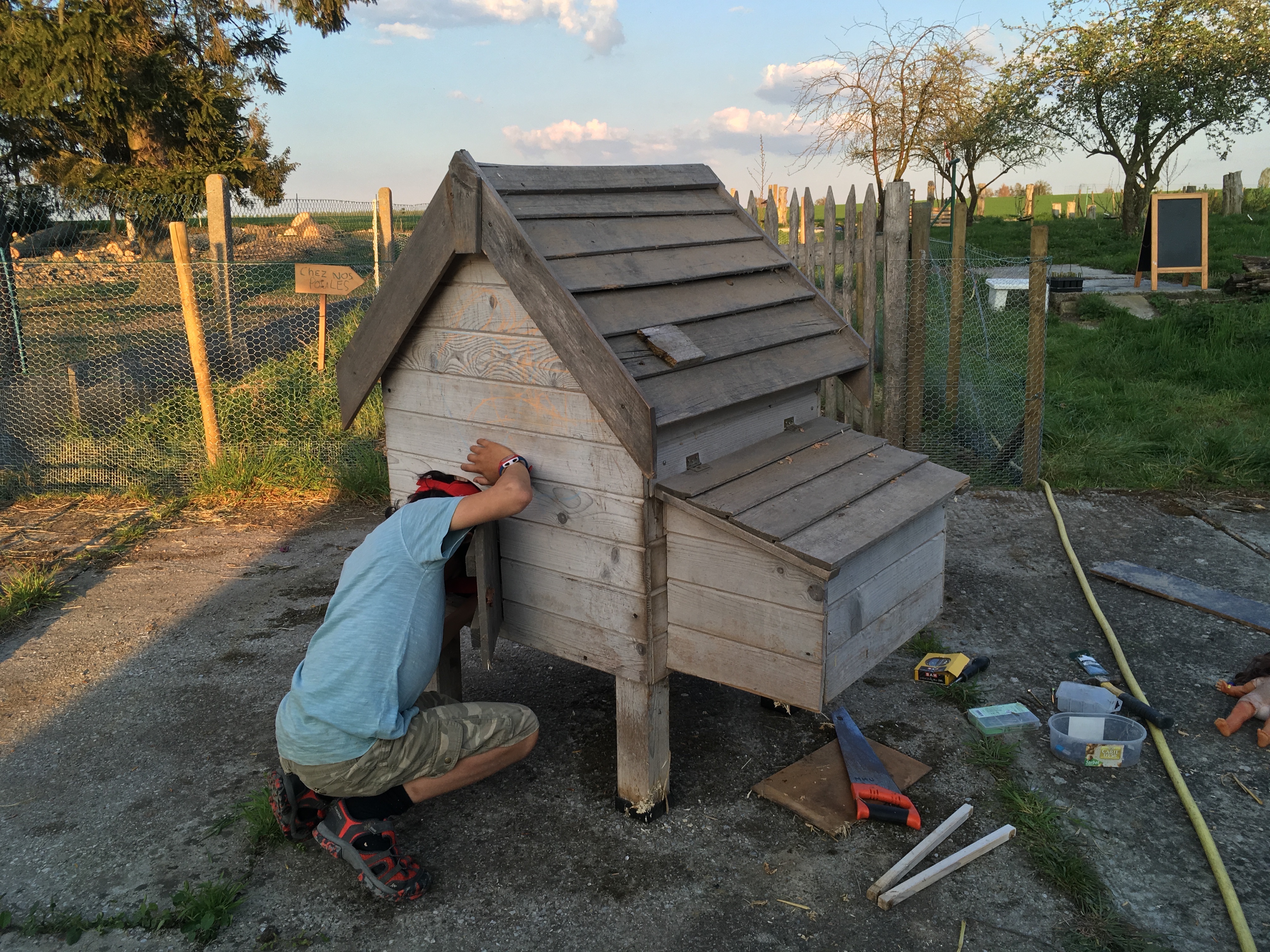 Building a chicken coop