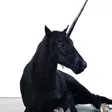 Steph w/ Black Unicorn Collective